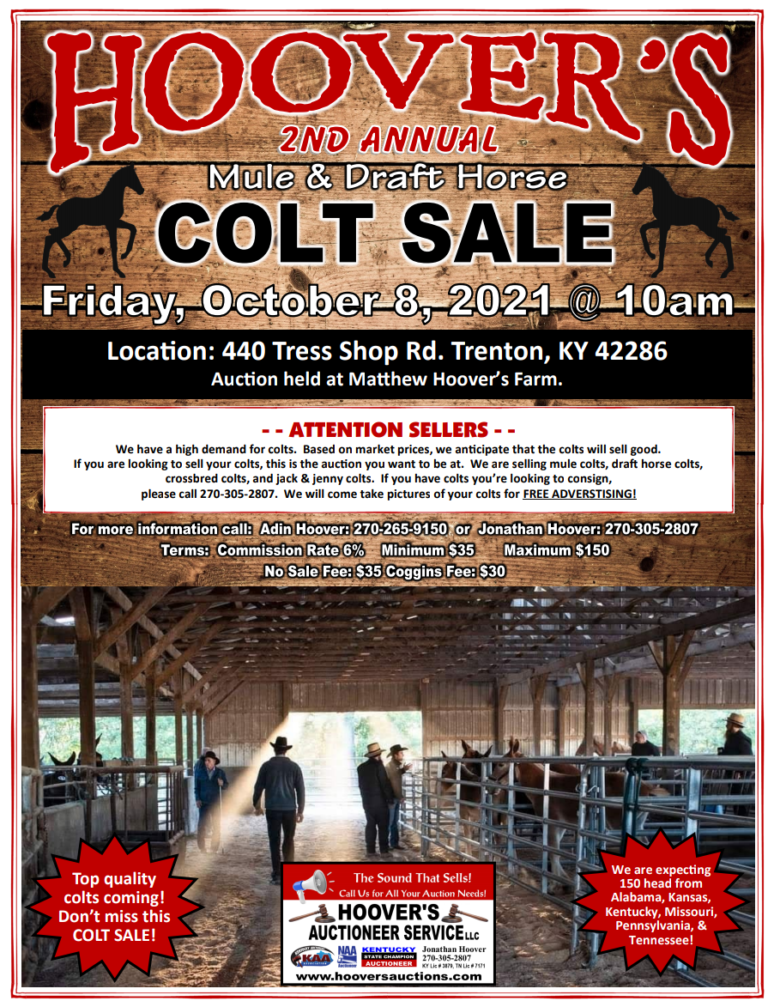 Hoover's 2nd Annual Mule & Draft Horse Colt Sale Hoover's Auctioneer