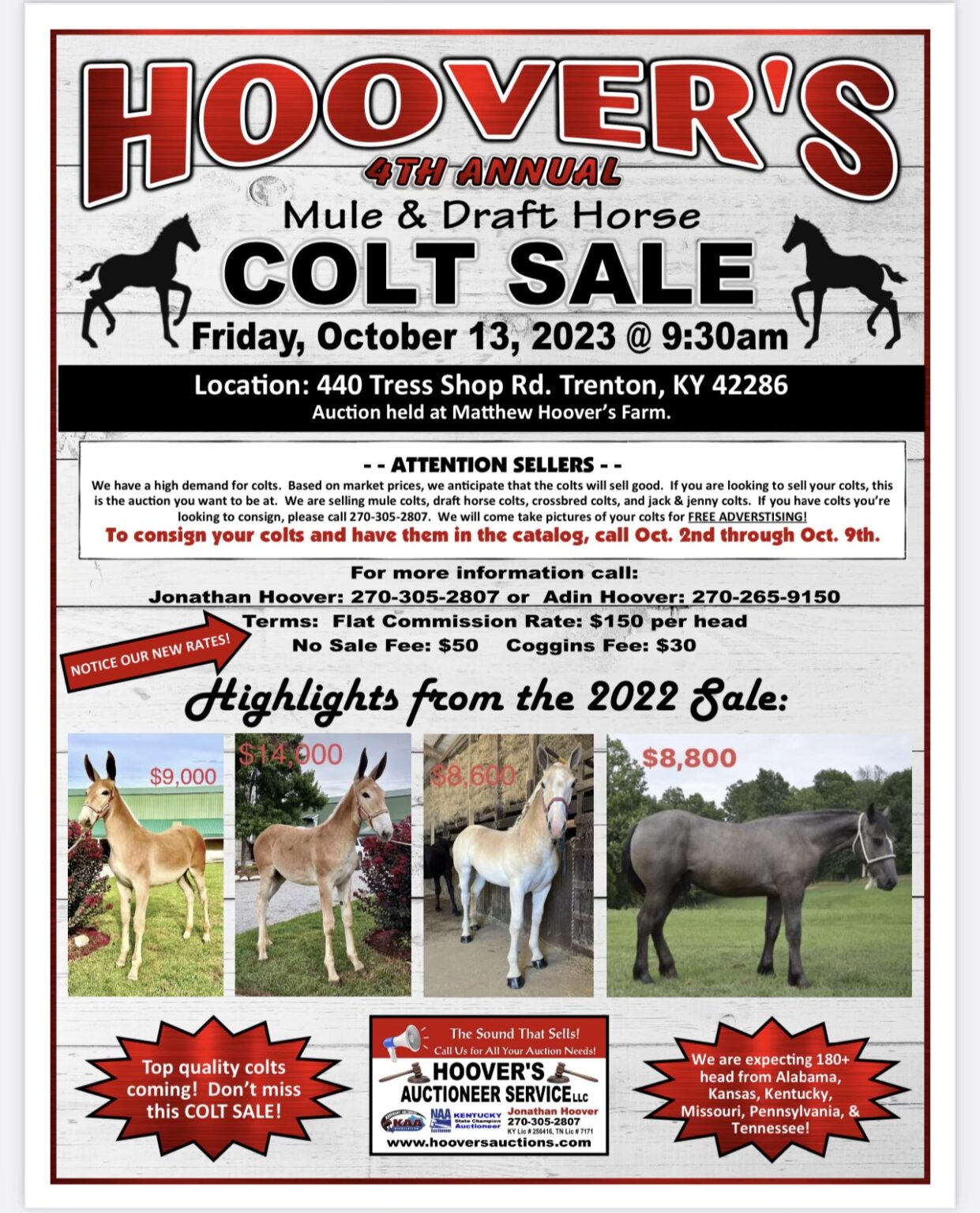 Hoover’s 4th Annual Mule & Draft Horse Colt Sale Hoover's Auctioneer