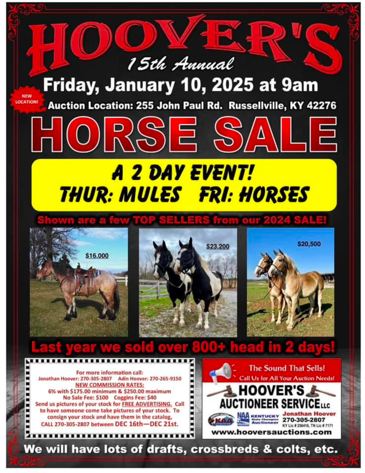 Hoover’s 15th Annual Horse Sale