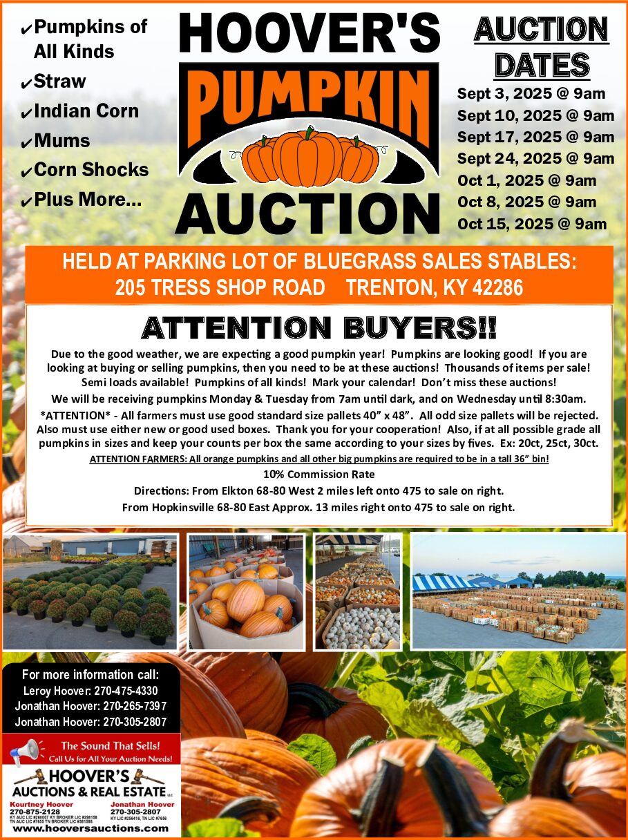 Hoover’s Pumpkin Auctions