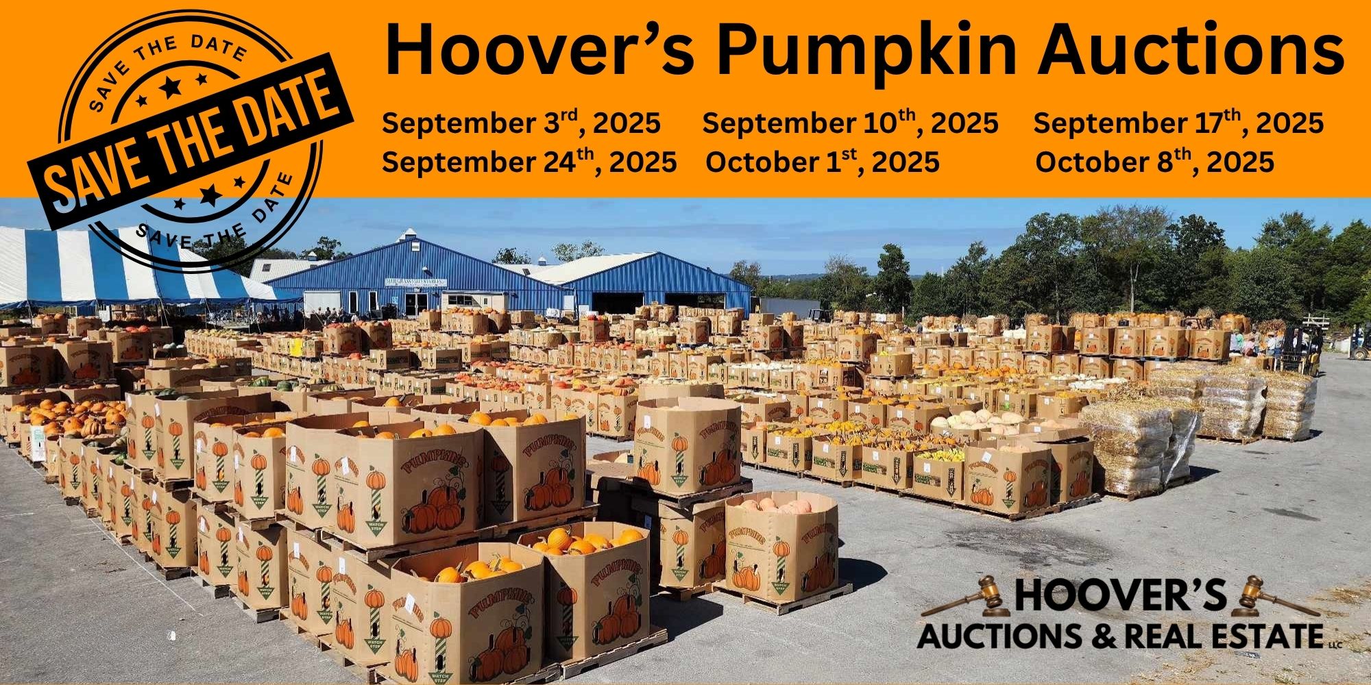 Hoover’s Pumpkin Auctions