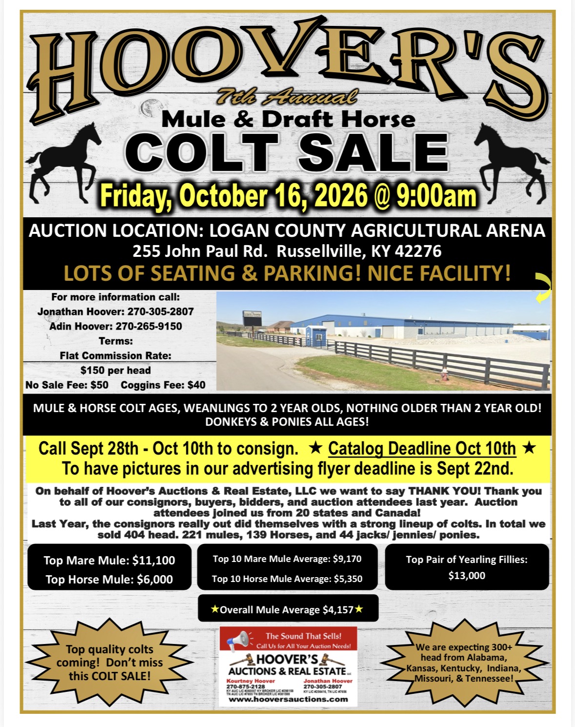 Hoover’s 7th Annual Mule & Draft Horse Colt Sale