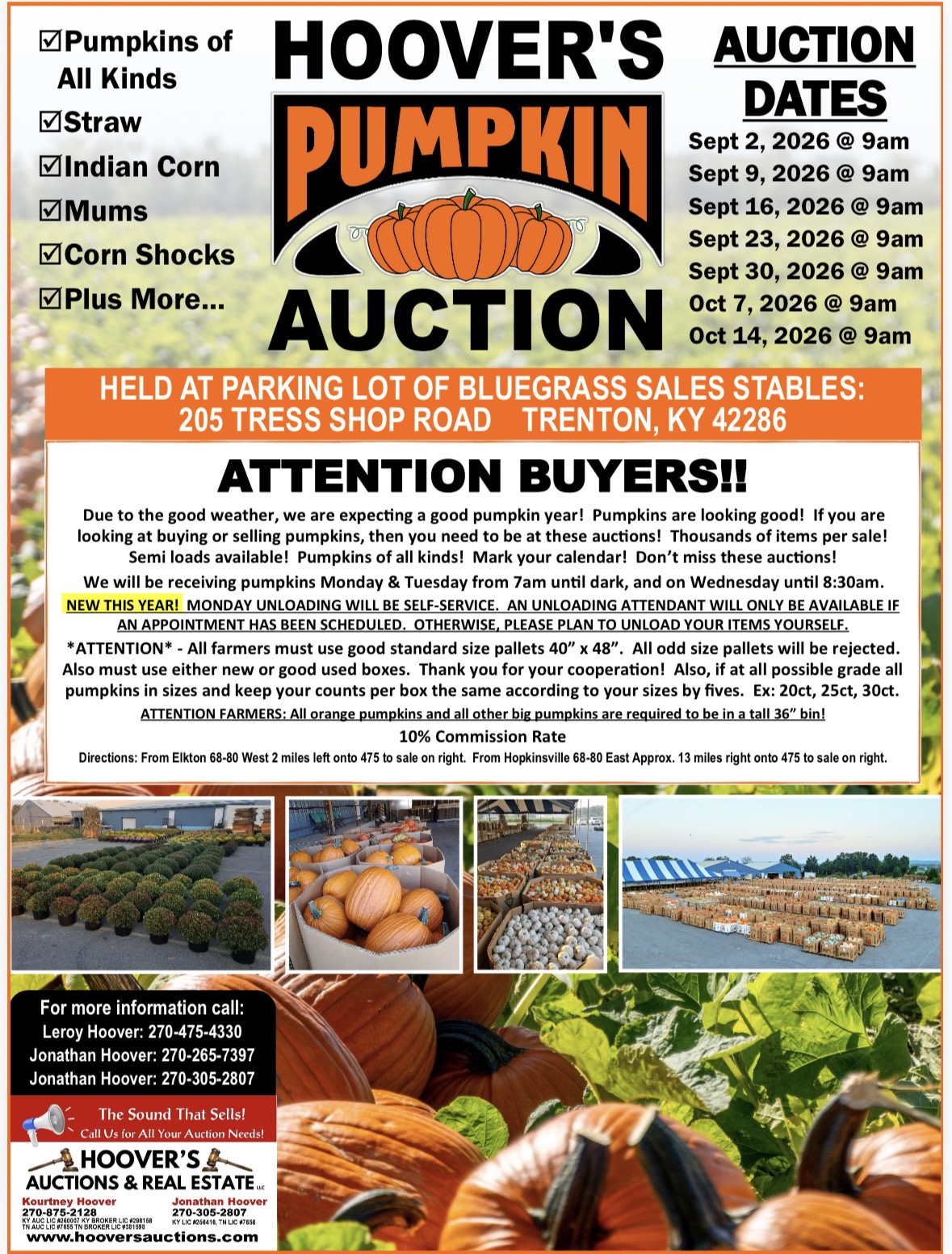 Hoover’s Pumpkin Auctions
