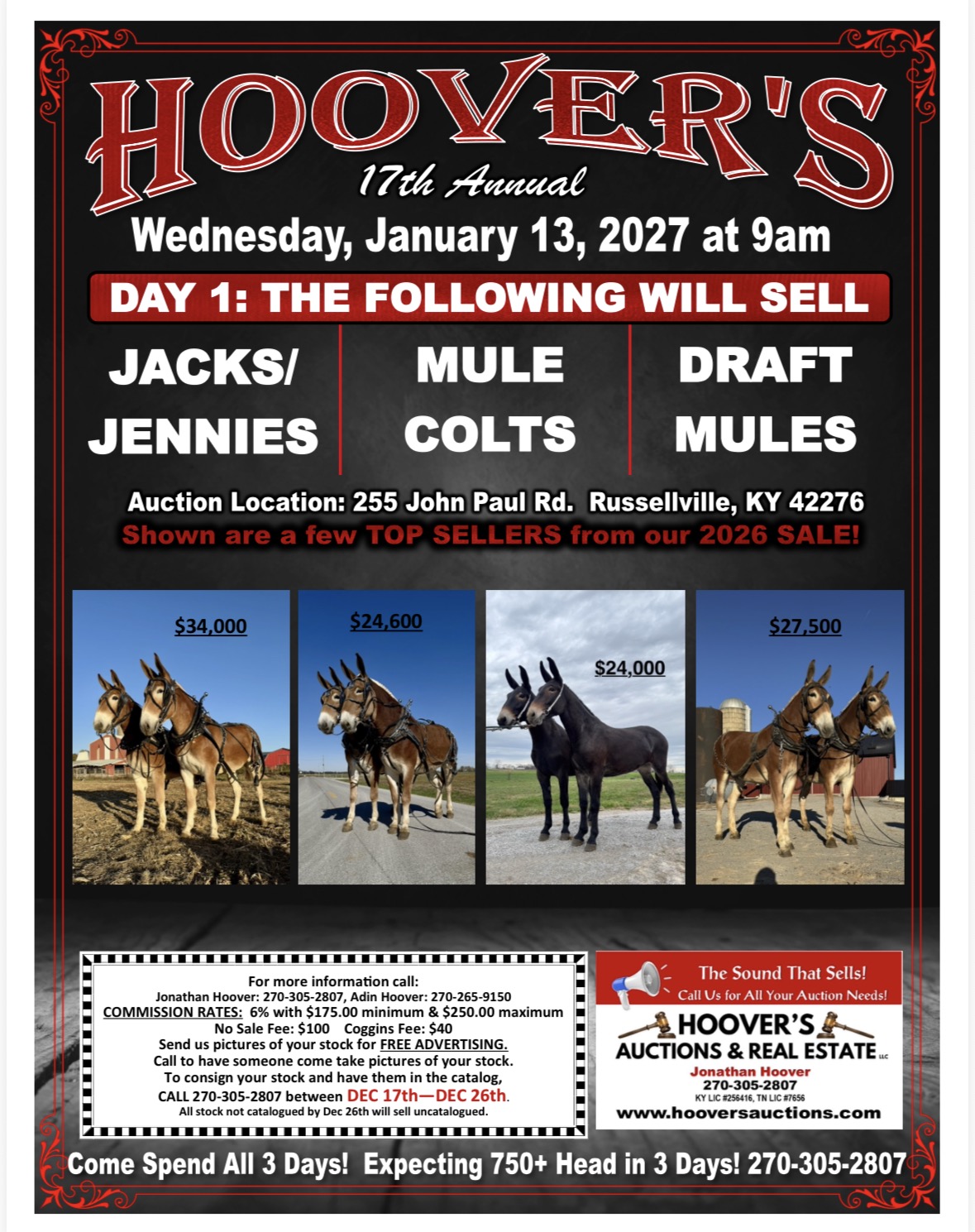 Hoover’s 17th Annual Mule & Horse Sale — Day 1